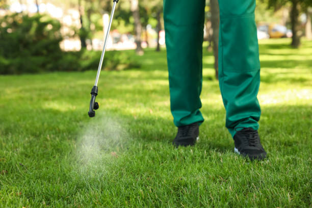 Best Local Pest Control Services  in Hampton Bays, NY