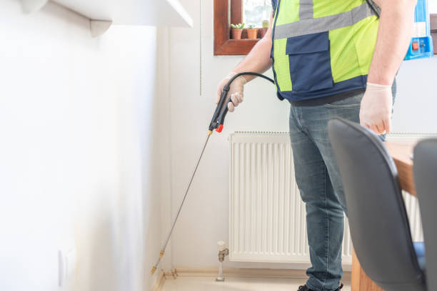 Best Local Pest Control Services  in Hampton Bays, NY