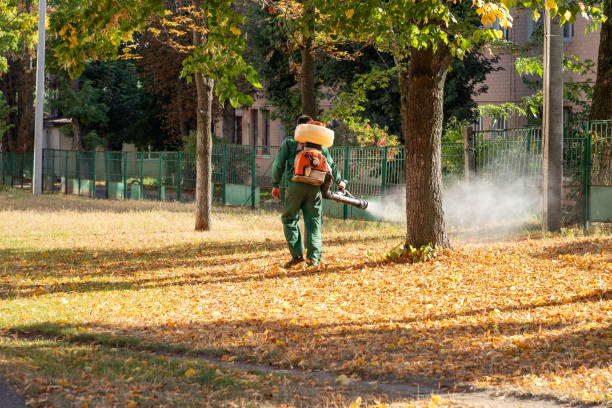 Best Pest Removal Services  in Hampton Bays, NY