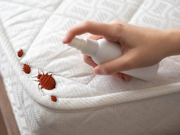 Best Pest Prevention Services  in Hampton Bays, NY
