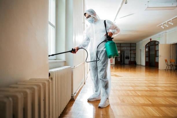 Best Affordable Pest Control Services  in Hampton Bays, NY