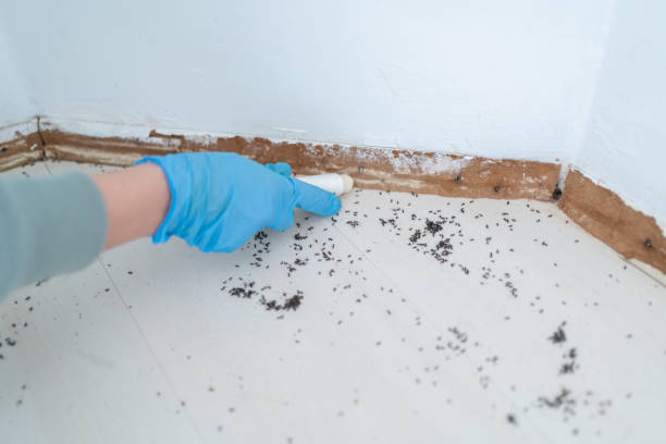 Pest Control for Restaurants in Hampton Bays, NY